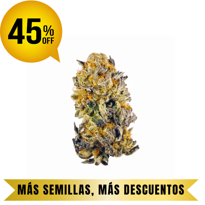 CHERRY PUNCH FEM granel