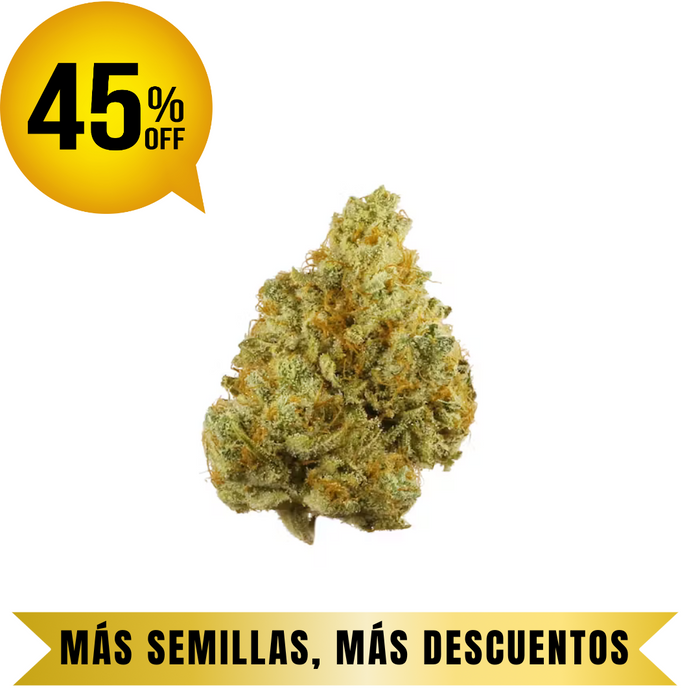 SOUR TANGIE FEM granel