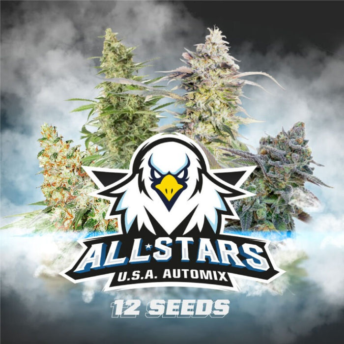 All star USA mix auto x12 bsf seeds