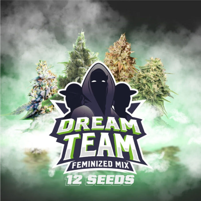Dream team mix bsf seeds fem x12