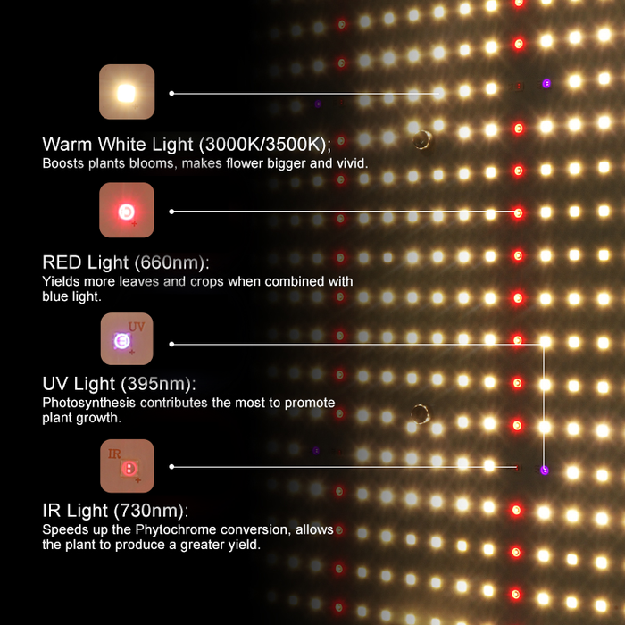 LED QUANTUM BOARD 240W | samsung lm301H | IP65 Waterproof | UV+IR | 3500K
