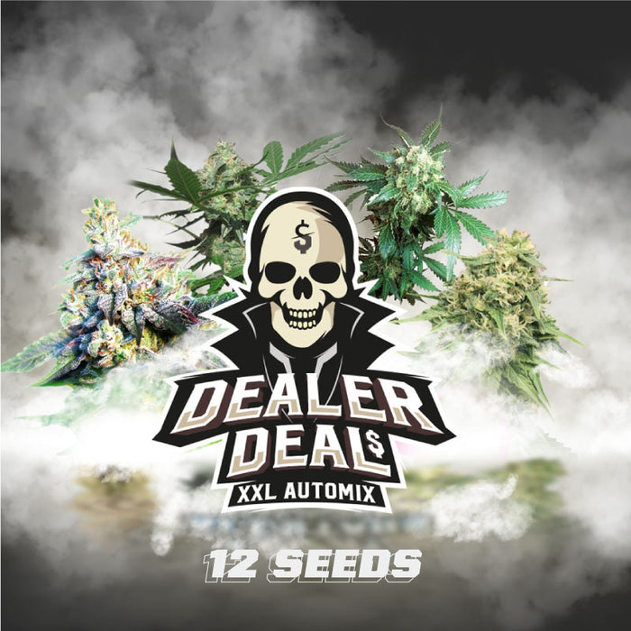 Dealer deal XXL auto x12 bsf seeds