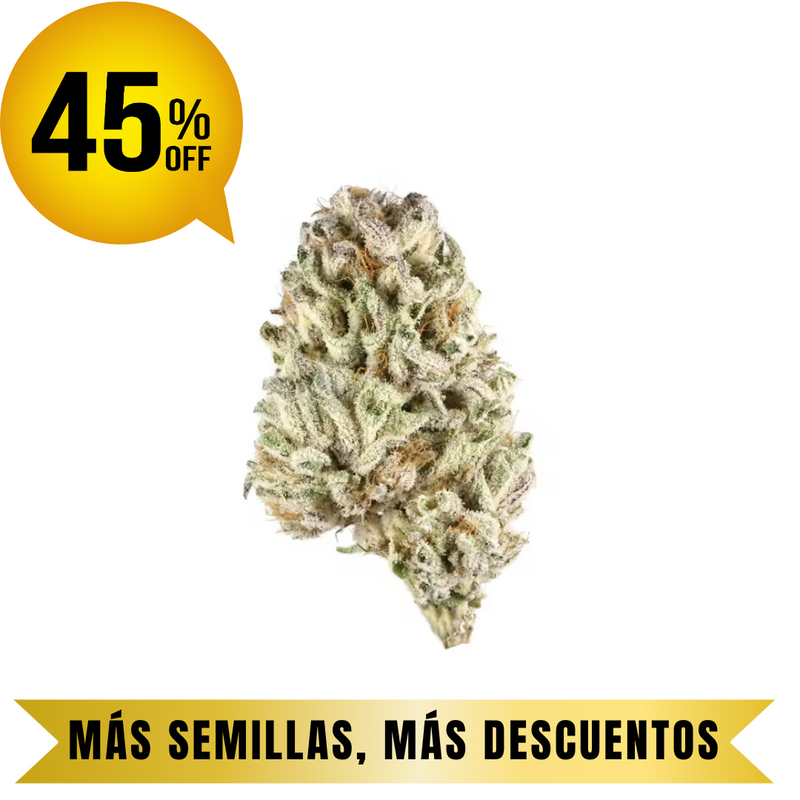 KRYPTONITE auto granel