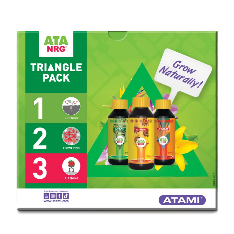 ATA NRG Triangle Pack - Atami + root c 100ml de regalo