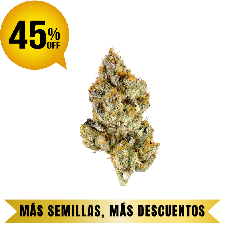 OREOZ FEM granel