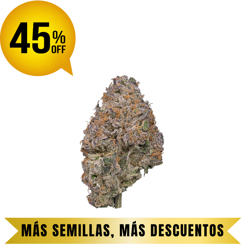 PERMANENT MARKET FEM granel