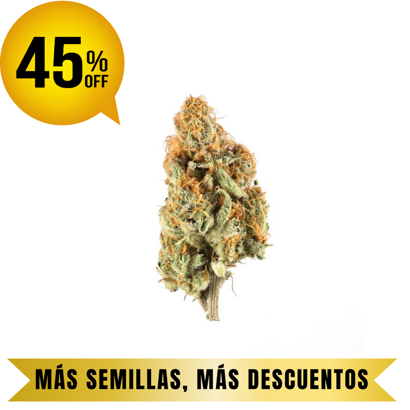 BANANA CREAM FEM granel