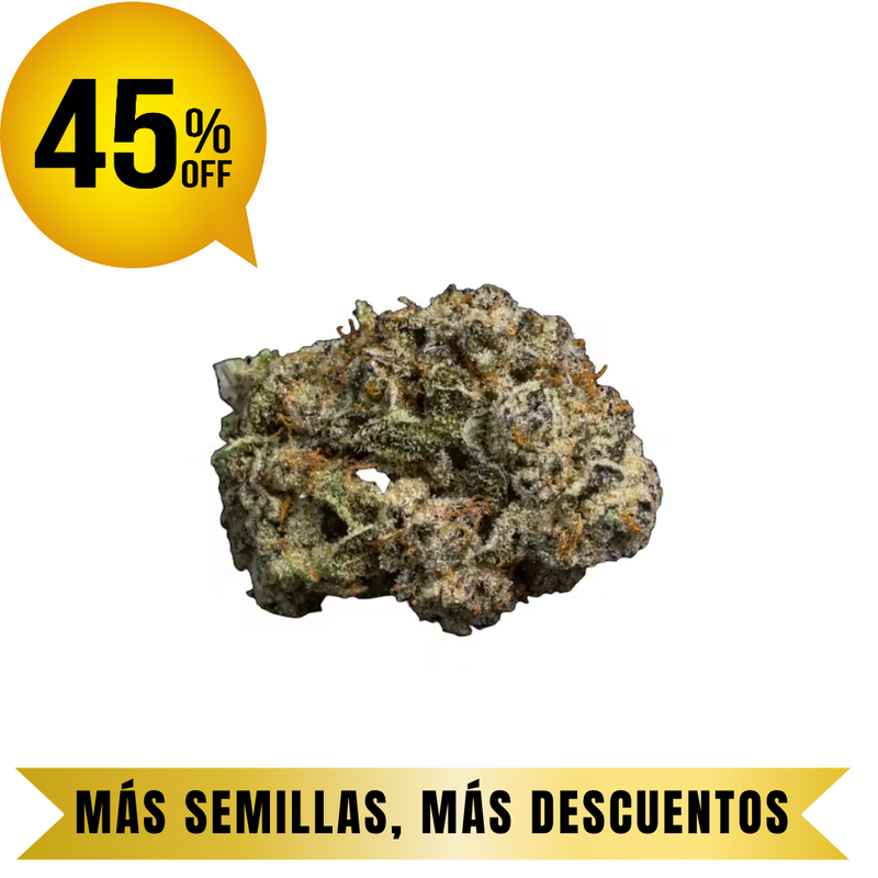 ZEREAL MINTS FEM granel