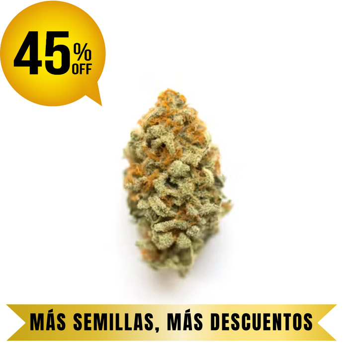 ANIMAL COOKIES FEM granel