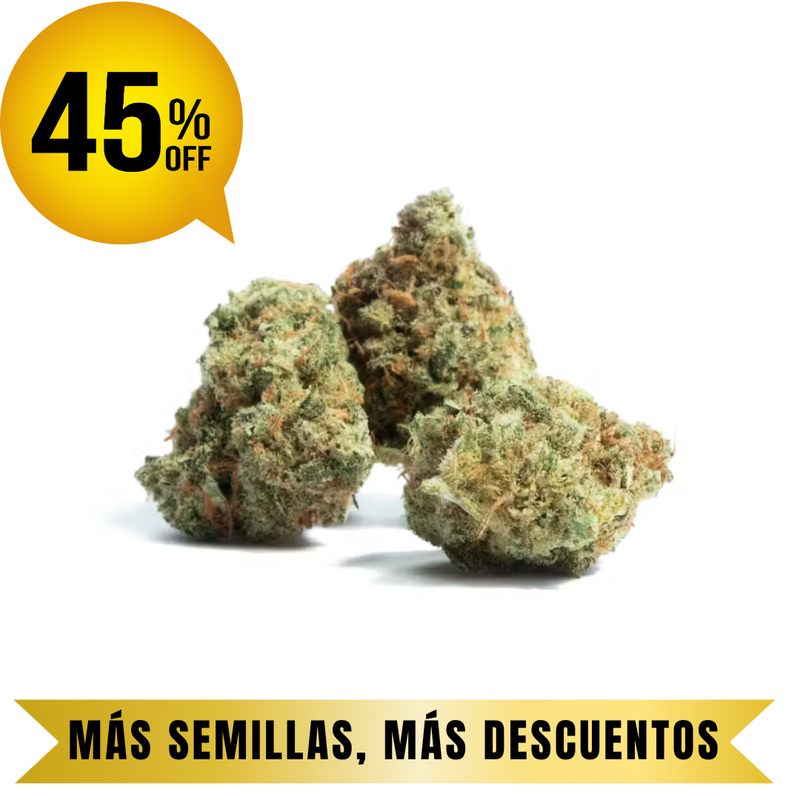 AMNESIA HY PRO FEM granel