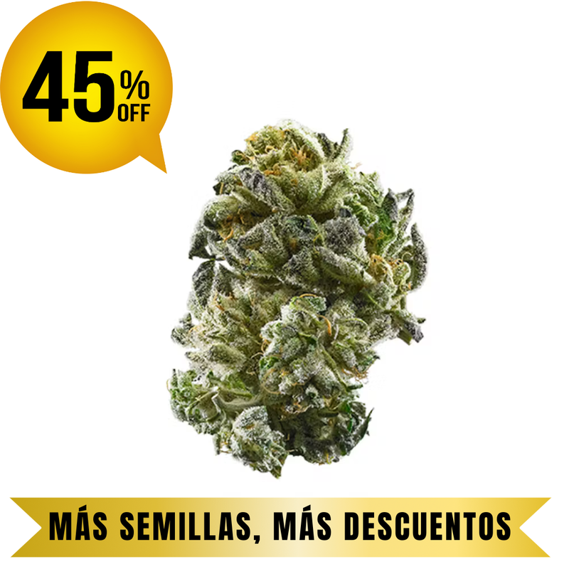 GIRL SCOUT COOKIES FEM granel