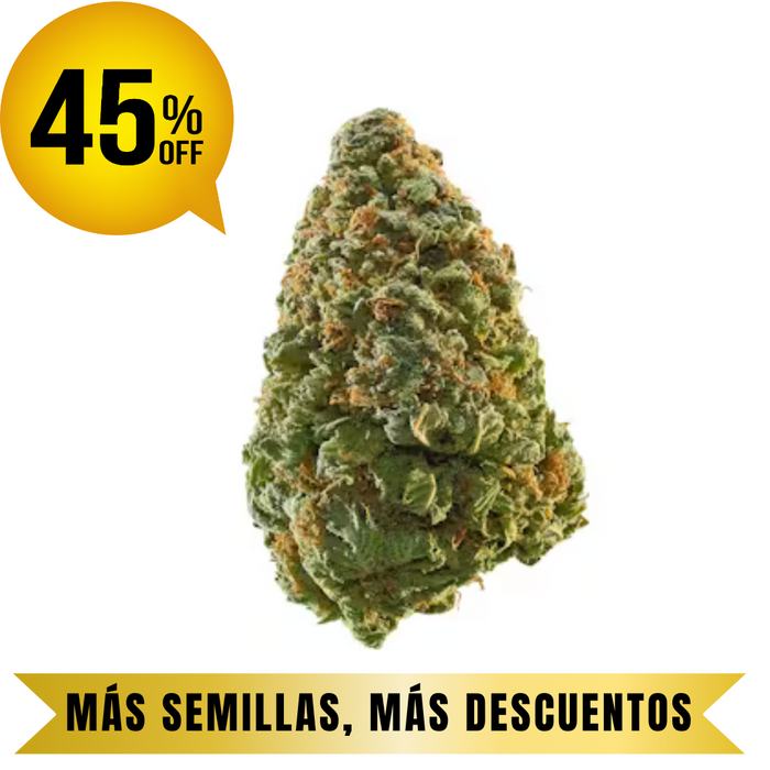 GREEN CRACK auto granel