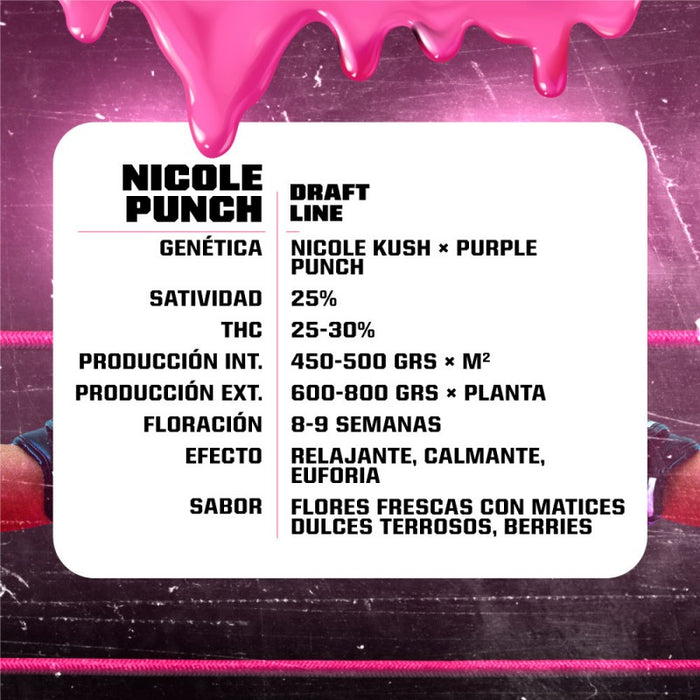 Nicole punch fem x4 bsf seeds