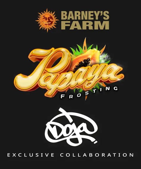 barneys farm PAPAYA FROSTING fem x3 FEAT DOJA EXCLUSIVE