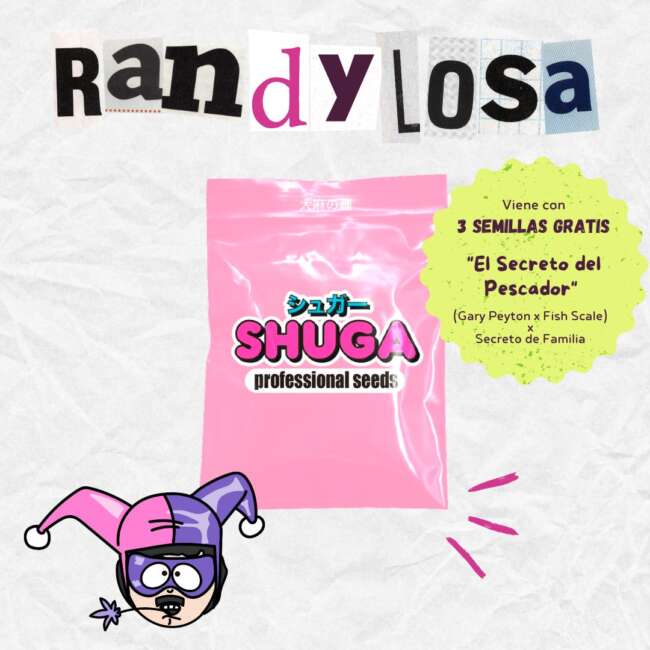 SHUGA SEEDS randylosa  fem x3 +3 seeds fishersman secret